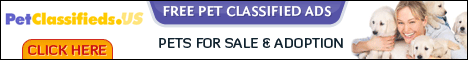 Pet Classifieds